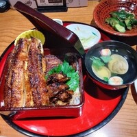 炭焼 うな富士 有楽町店 - 肝入り上うな重