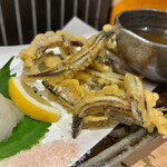 居酒屋がんごつ - 