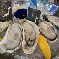 梅田 ワーフ -  梅田 ワーフ -