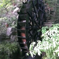 黒茶屋 - 
