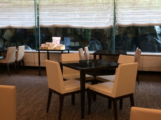 cafe lounge atrium photo 5