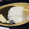 博多カレー研究所 博多とんこつあごだしカレー