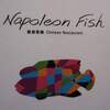 ナポレオン フィッシュ