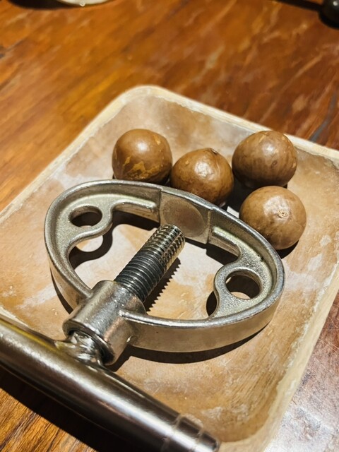 ZOOGUNZOO Shibuya Ten