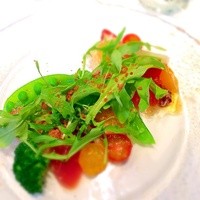 代官山ASO チェレステ 二子玉川店 - 初鰹と蛸のカルパッチョ、鮪のカラスミのアクセント