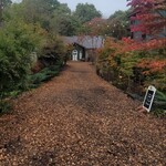 GAFLO CAFE by Flower FIELD - 