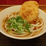 驛麺家 - 天ぷらうどん (税込)420円 ※角度を変えて (2024.10.30)