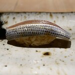 269719629 - 