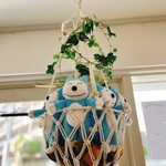 小さな絵本カフェ acero - 