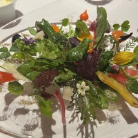 レフェルヴェソンス - 