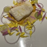 レフェルヴェソンス - 