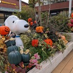 超純水採麺 天国屋 - 