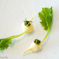 SEZANNE - Young turnips with sake-kasu　蕪と酒粕