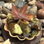 レストラン ラ・フロレゾン・ドゥ・タケウチ - タルト