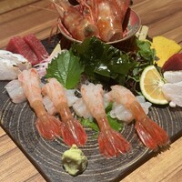 飯家くーた 銀座七丁目店 - 