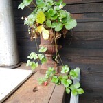 ミオンエシカルキッチン＆カフェ - 