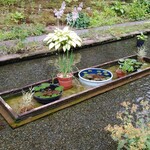 ミオンエシカルキッチン＆カフェ - 