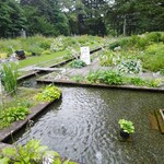 ミオンエシカルキッチン＆カフェ - 