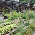 ミオンエシカルキッチン＆カフェ - 