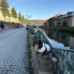 ふる川 - 宿の前の小樽運河