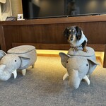 ふる川 - リビング