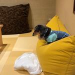 ふる川 - 畳部屋