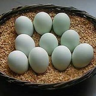 すき焼き用の淡い青色の卵