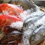 海坊主 - 料理写真:市場・漁港直送の新鮮魚介