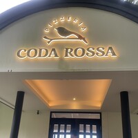 CODA ROSSA - 