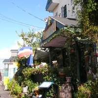 きまぐれ市場 - 