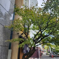 日本橋いづもや - 