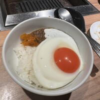 焼肉ホルモン 稲田 -  焼肉ホルモン 稲田 -