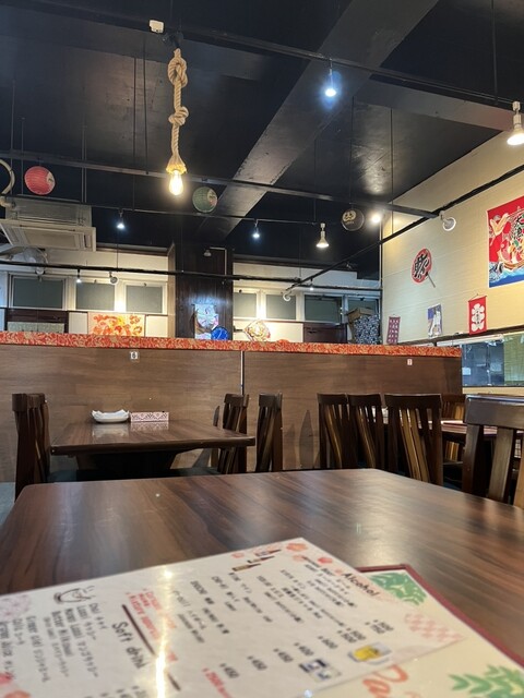 DANA PANI En photo 5