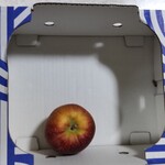YAMADA STORE - 箱買いで７つ入り、あっという間に食べ尽くす