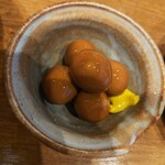 三代目 鳥メロ - 