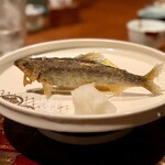 おちあいろう - 