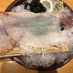 呼子活イカ さかなや道場 - 