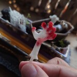 ラトリエ ア マ ファソン - 