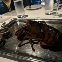 オザミトーキョー - 