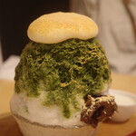 CHA-salon SAKURA-MOMIJI - 