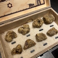 マルゴット エ バッチャーレ - 