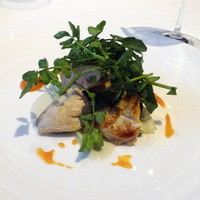 RISTORANTE YAGI - 前菜：ホロホロ鶏、山菜、ゴルゴンゾーラ、ブラッドオレンジ