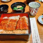 本家柴藤 - 大阪まむし「菊」