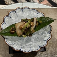横浜 星のなる木 - 