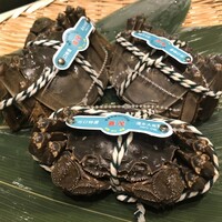 中国料理 礼華 四君子草 - 