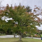 이치넨 - 軽井沢レイクガーデン。毎年こちらでスタートとゴール！