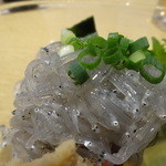 海鮮めし屋 磯人 - 生しらすアップ