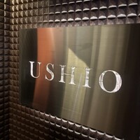 赤身焼肉USHIO - 