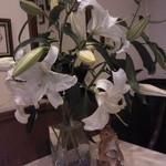 フランス料理 ビストロ・ド・リヨン - 2014/05/04