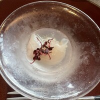 スミレオオサカ - 